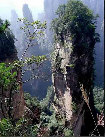 長沙出發(fā)到張家界溶洞奇觀黃龍洞、國家森林公園、袁家界、峰林之王天子山三日游（早班）